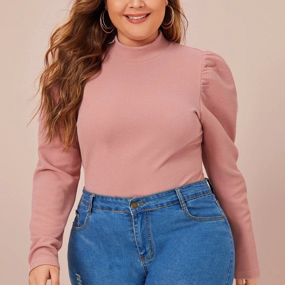 Beautiful women's puff sleeve top